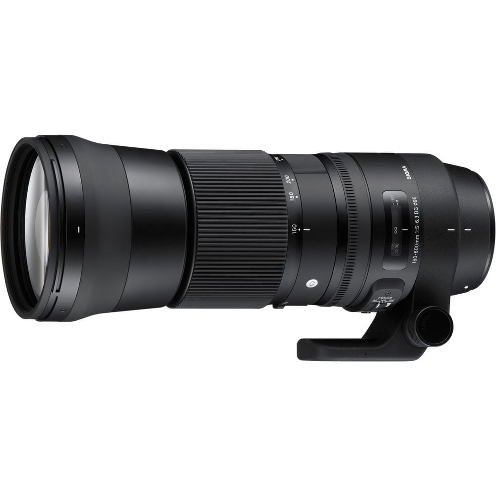 CANON 150-600 F/5.6