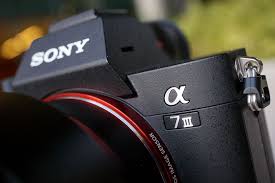 Sony A7III - view 2