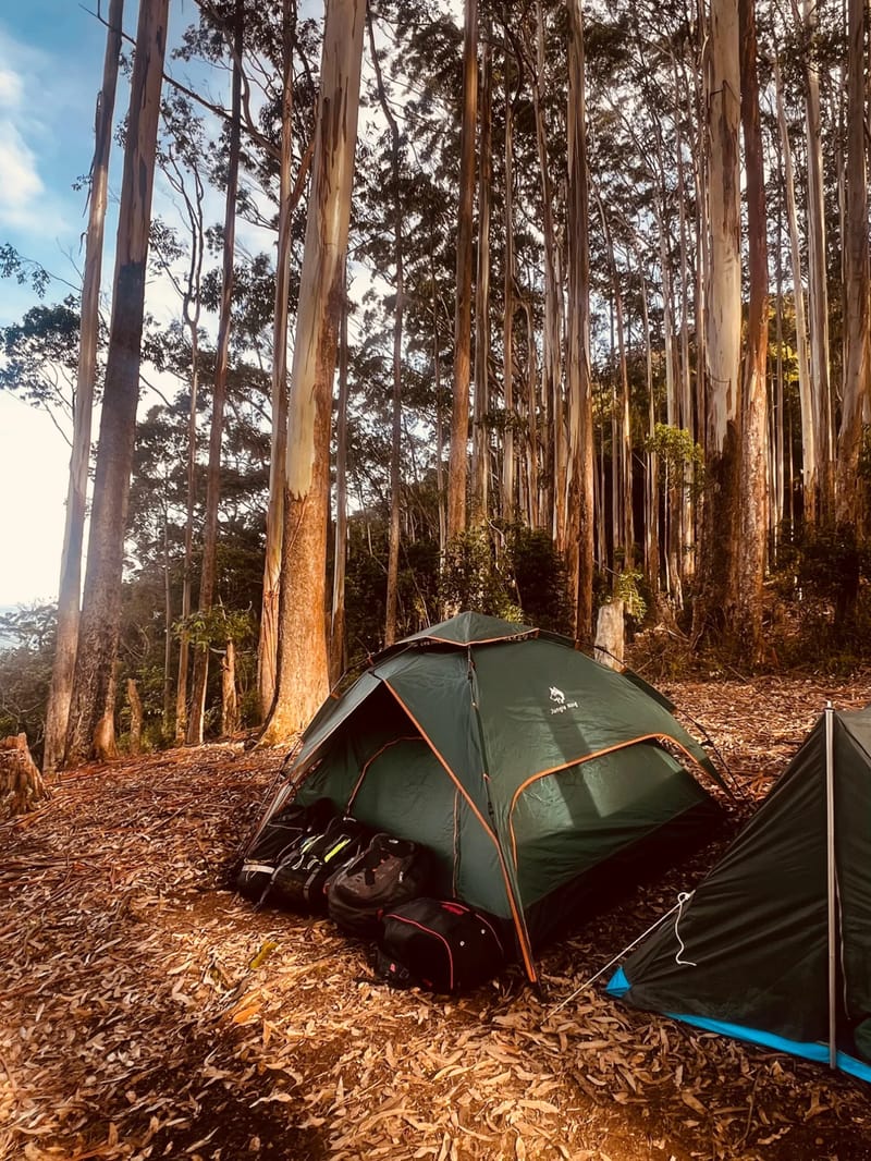 Camping Tent Automatic (4P) - view 3